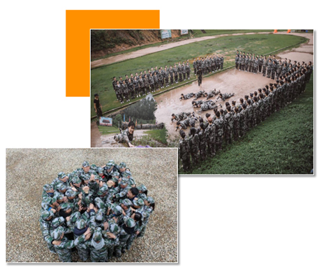 全軍覆沒(méi)